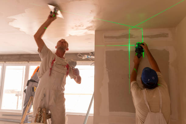 Best Crawl Space Mold Remediation  in Milan, NM