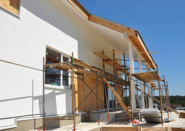 Best Mold Documentation for Insurance Claims  in Milan, NM