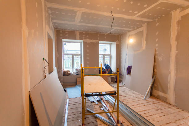 Best Dehumidification Services  in Milan, NM